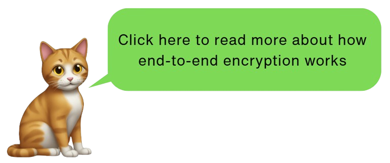 a cartoon orange striped cat saying " Click here to read more about how encryption works "